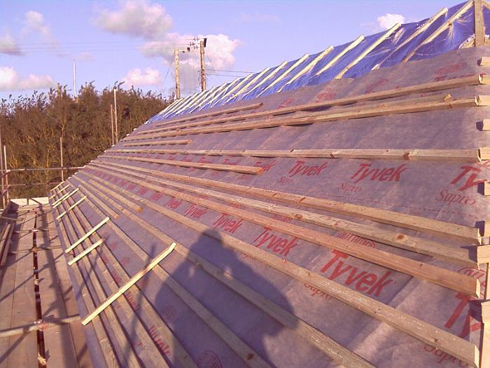 8 Roof Windows & Doors (12)